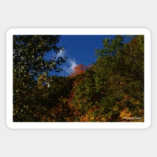 Blue Sky, Clouds and Fall Sticker